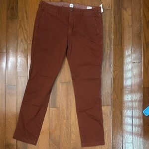 Brand New GAP Men's Rust Chinos